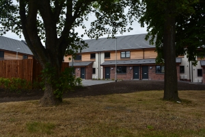 DSC 1300